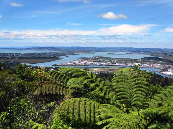 Mt Parihaka